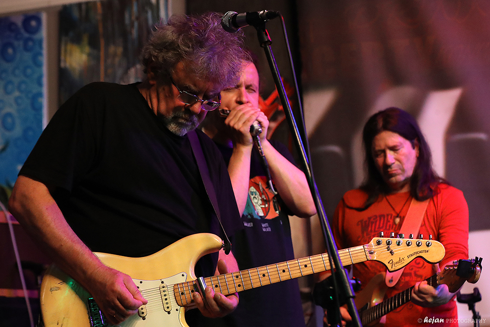 JazzClub - Czarny Pies